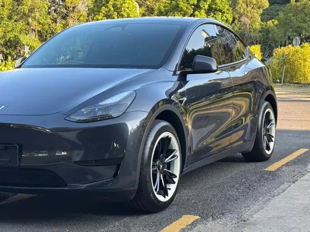 Tesla Model Y — Фото автомобиля 14