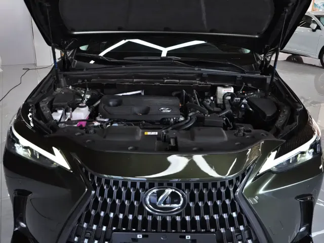 Lexus NX — Фото автомобиля 12