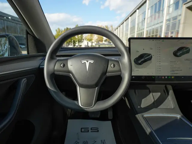 Tesla Model Y — Фото автомобиля 9