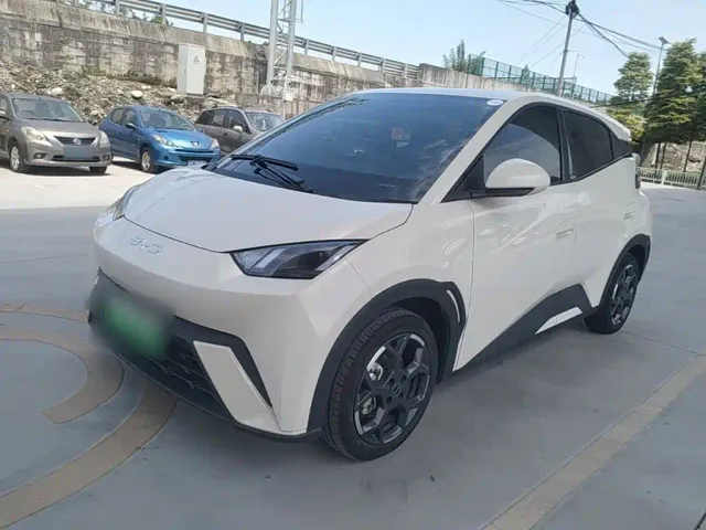 Фотография автомобиля — BYD Seagull