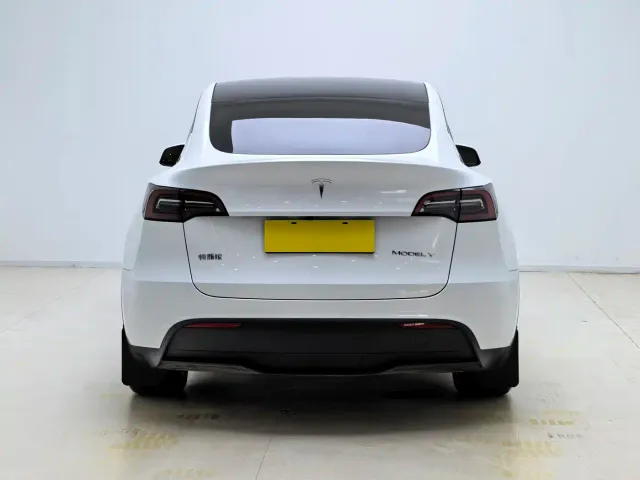 Tesla Model Y — Фото автомобиля 11