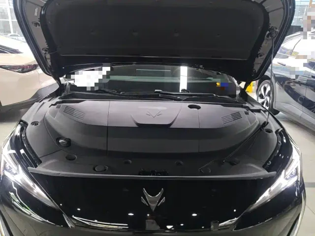 Arcfox Alpha S5 — Фото автомобиля 19