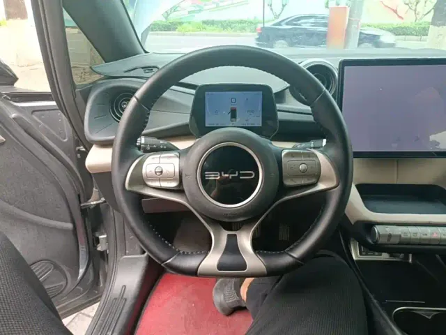 BYD Dolphin — Фото автомобиля 10