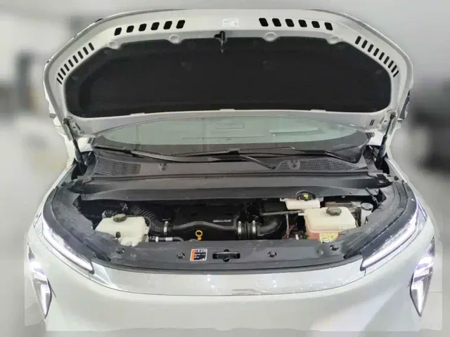 Buick Zhijing Shijia — Фото автомобиля 3