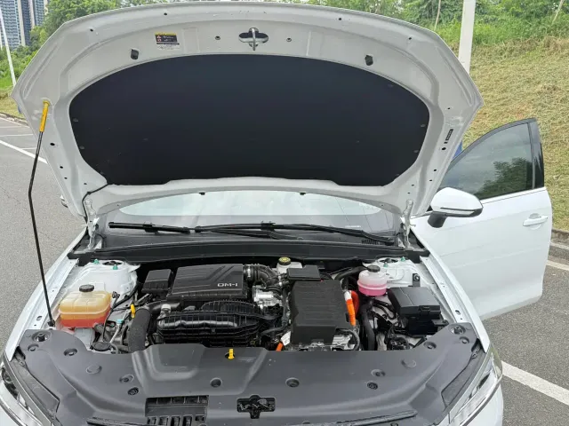 BYD Qin PLUS — Фото автомобиля 13