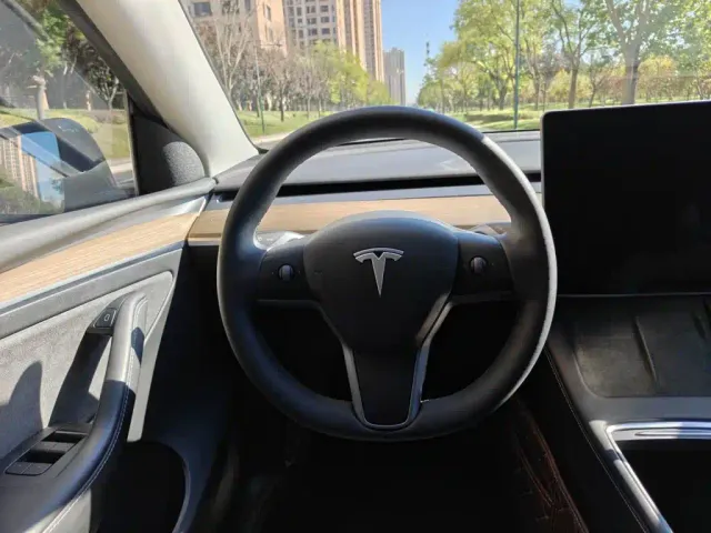 Tesla Model Y — Фото автомобиля 10