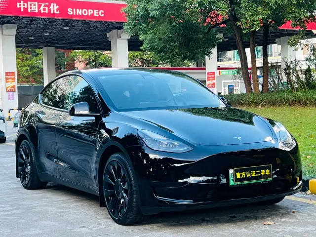 Tesla Model Y — Фото автомобиля 3
