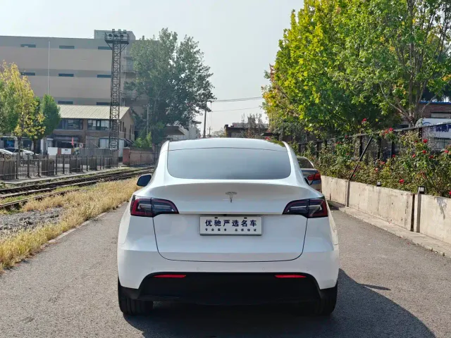 Tesla Model Y — Фото автомобиля 7