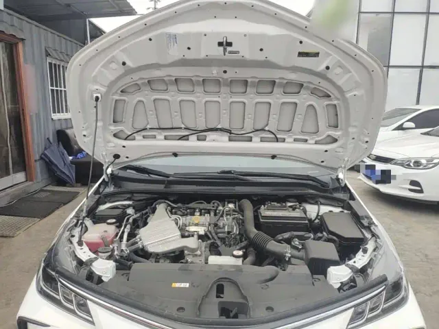Toyota Corolla — Фото автомобиля 19