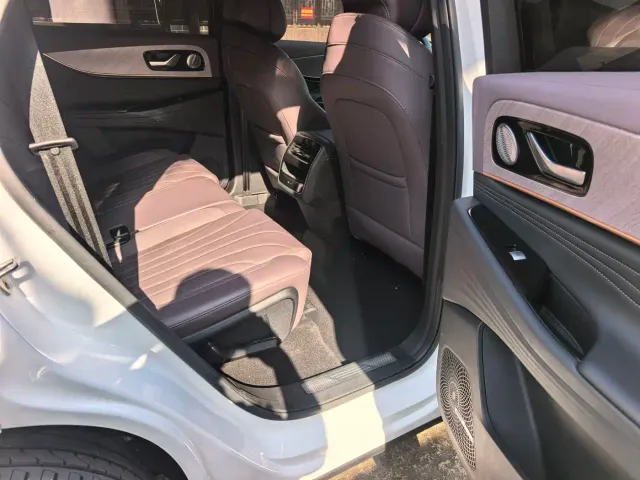 Chery Tiggo 9 — Фото автомобиля 10