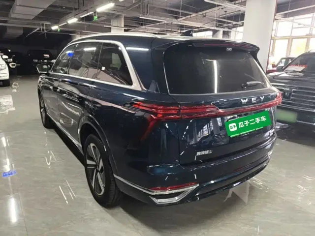 Wey Lanshan — Фото автомобиля 4