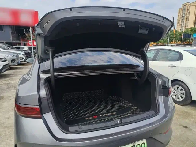 BYD Qin PLUS — Фото автомобиля 18