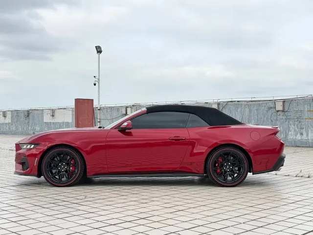 Ford Mustang — Фото автомобиля 15