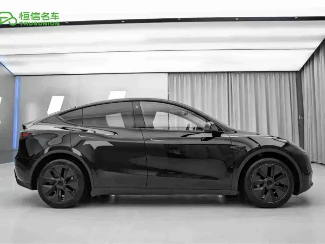 Tesla Model Y — Фото автомобиля 4