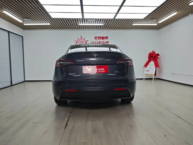 Tesla Model Y — Фото автомобиля 6