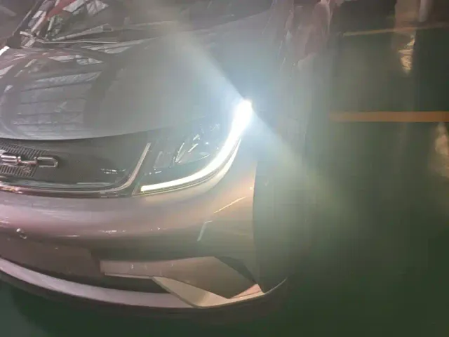 BYD Dolphin — Фото автомобиля 23