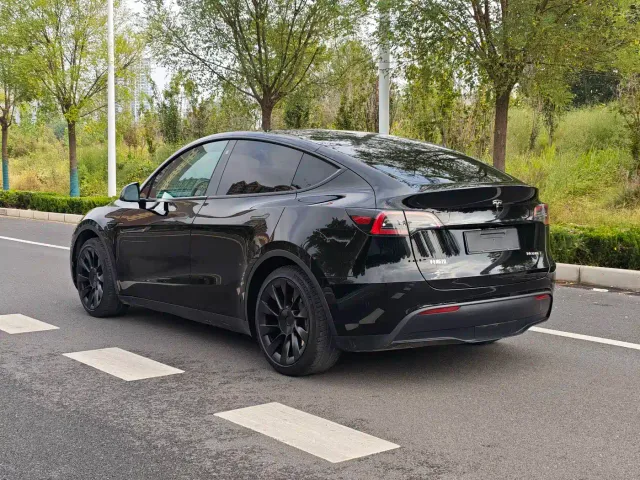 Tesla Model Y — Фото автомобиля 19