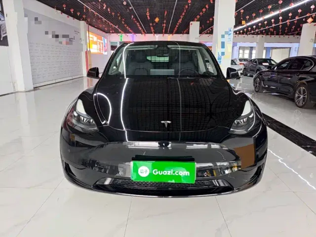 Tesla Model Y — Фото автомобиля 2