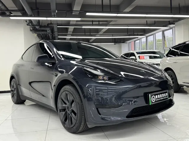 Tesla Model Y — Фото автомобиля 3