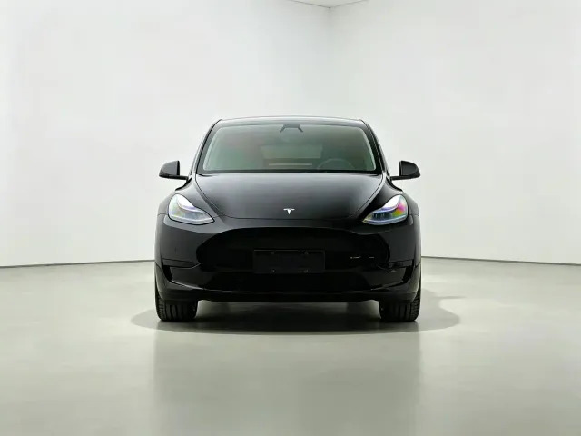 Tesla Model Y — Фото автомобиля 3