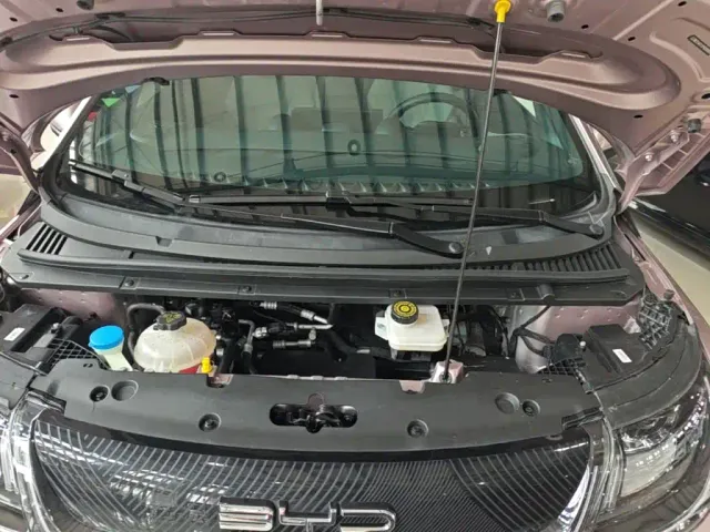 BYD Dolphin — Фото автомобиля 19