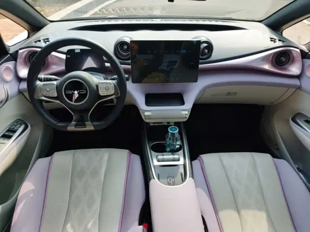 BYD Dolphin — Фото автомобиля 9