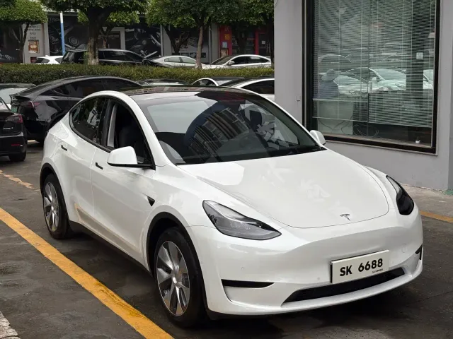 Tesla Model Y — Фото автомобиля 3
