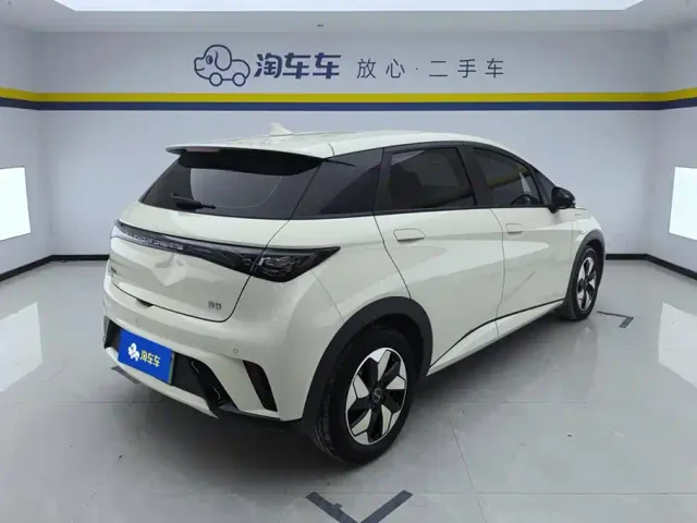 BYD Dolphin — Фото автомобиля 3