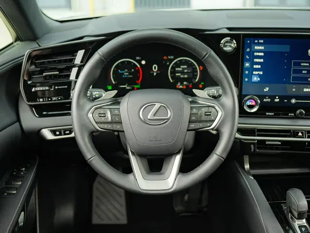 Lexus RX — Фото автомобиля 20
