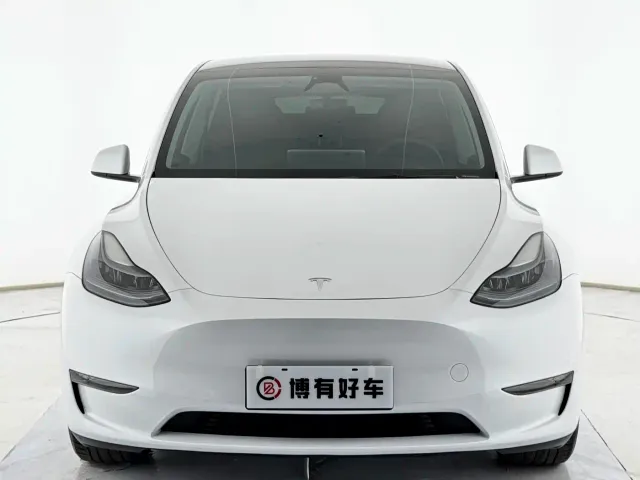 Tesla Model Y — Фото автомобиля 2