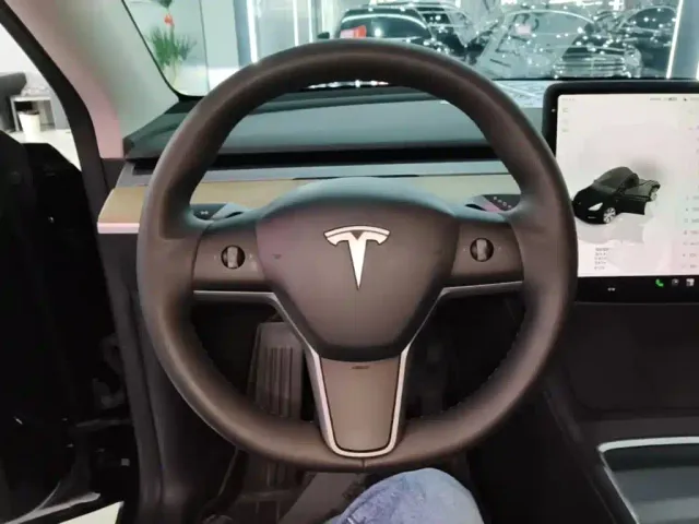 Tesla Model Y — Фото автомобиля 10