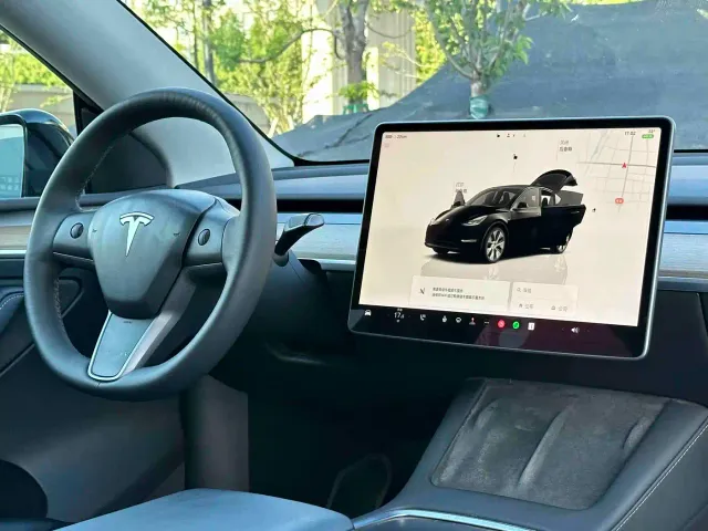 Tesla Model Y — Фото автомобиля 10