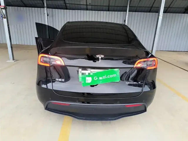 Tesla Model Y — Фото автомобиля 5