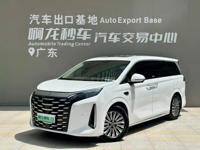 Фотография автомобиля — BYD Xia