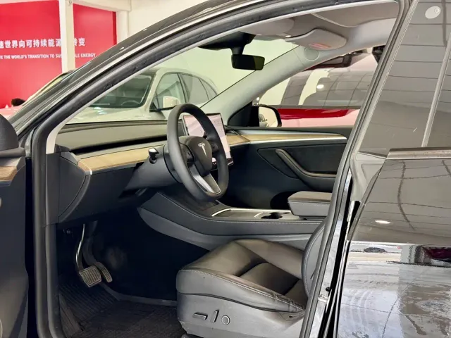 Tesla Model Y — Фото автомобиля 4