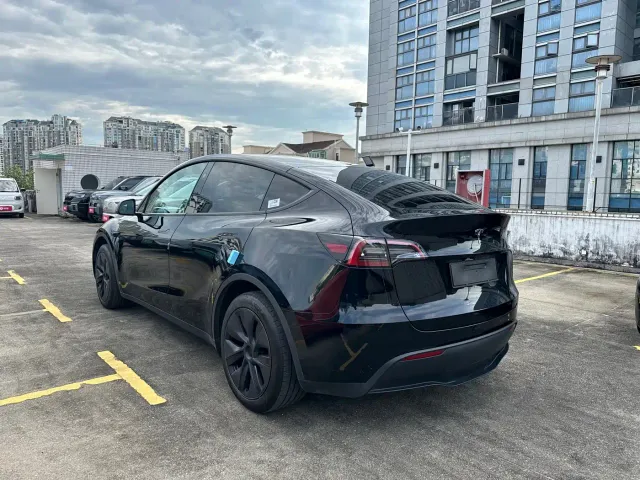 Tesla Model Y — Фото автомобиля 9