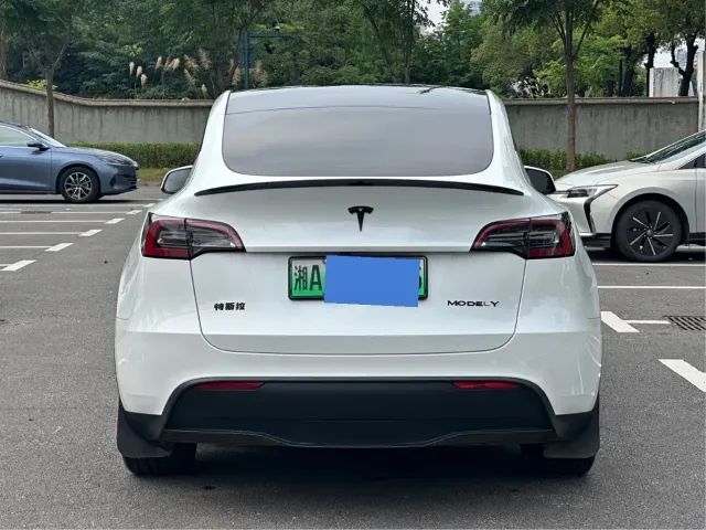 Tesla Model Y — Фото автомобиля 4