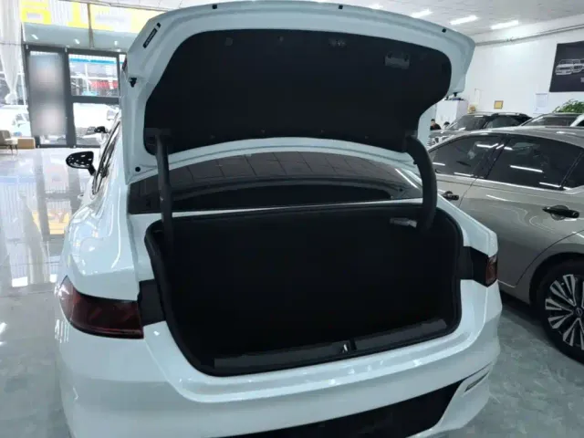 BYD Qin PLUS — Фото автомобиля 14
