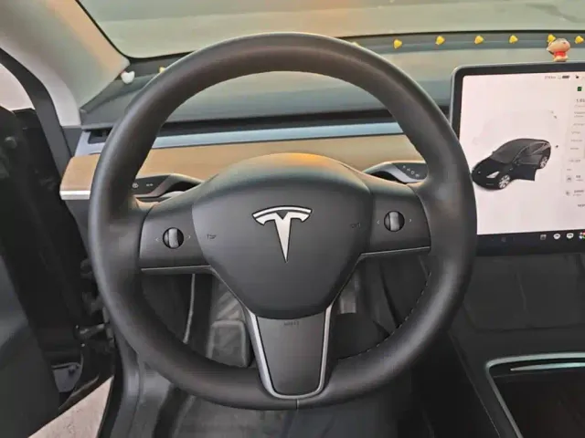 Tesla Model Y — Фото автомобиля 10