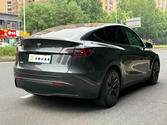 Tesla Model Y — Фото автомобиля 10
