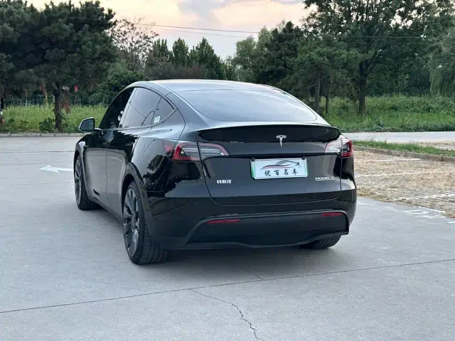 Tesla Model Y 2023 High Performance All-Wheel Drive Edition — Фото автомобиля 4