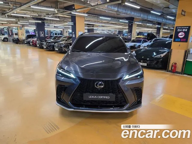 Lexus NX — Фото автомобиля 3