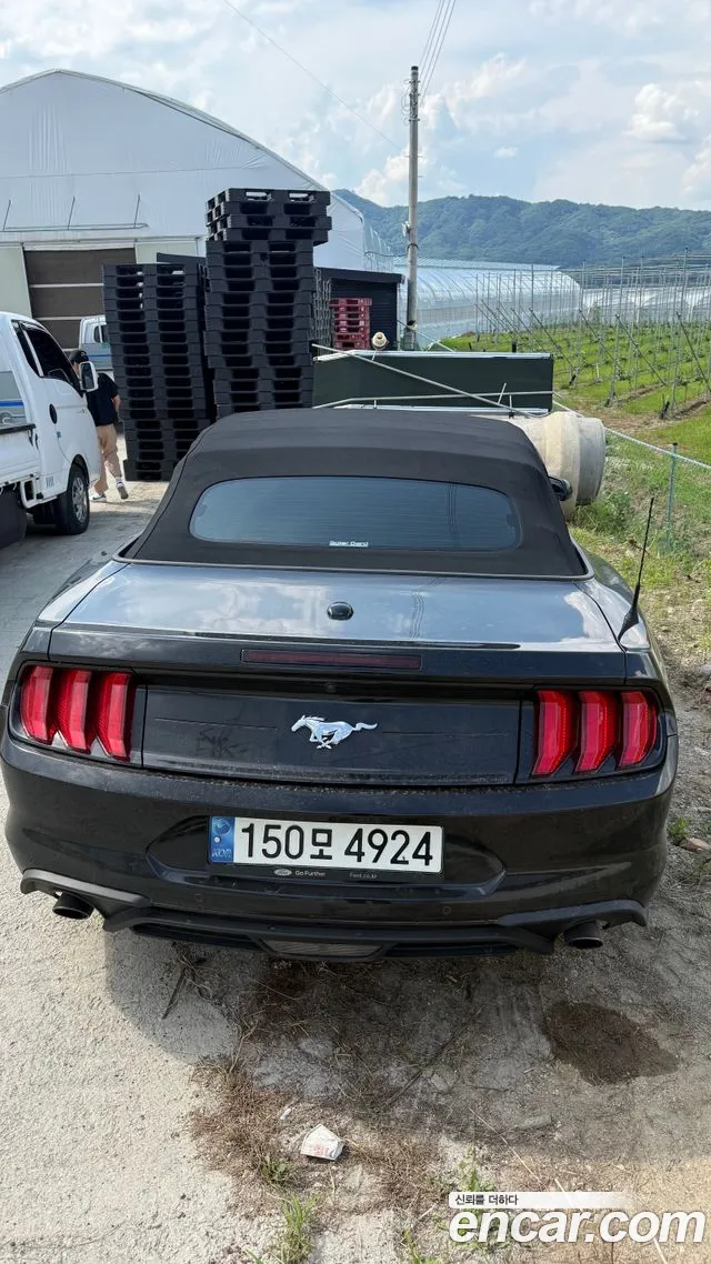 Ford Mustang — Фото автомобиля 4