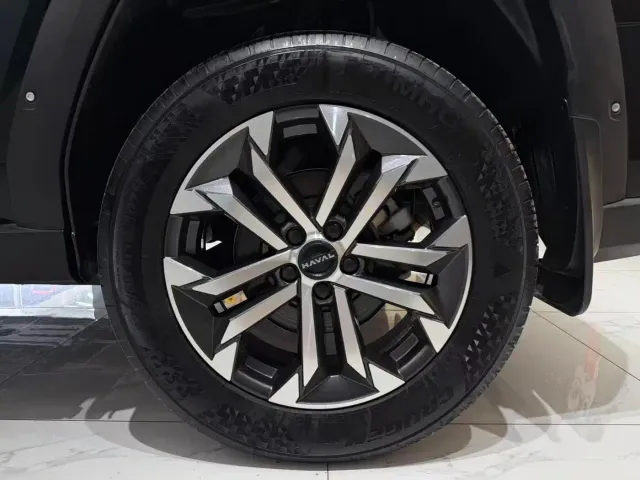 Haval Big Dog — Фото автомобиля 18