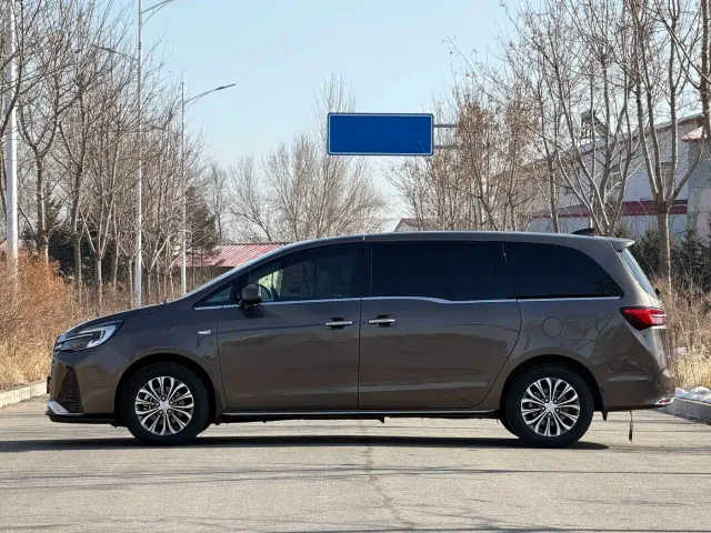 Buick GL8 — Фото автомобиля 7