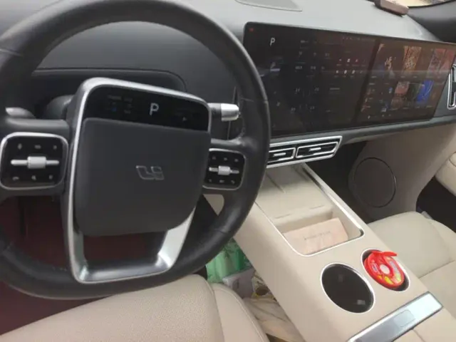 Li Auto L9 — Фото автомобиля 12