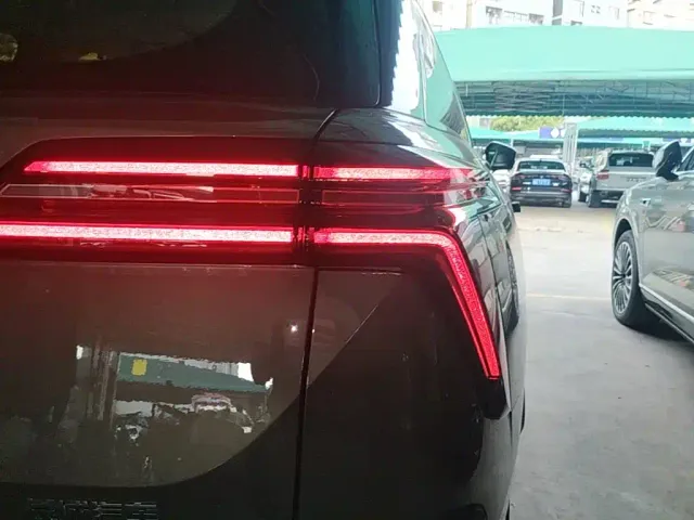 Wey Lanshan — Фото автомобиля 7