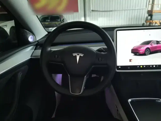 Tesla Model Y — Фото автомобиля 10