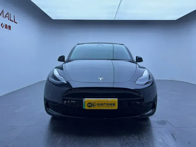 Tesla Model Y — Фото автомобиля 2