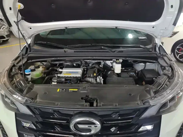GAC Trumpchi M6 — Фото автомобиля 10